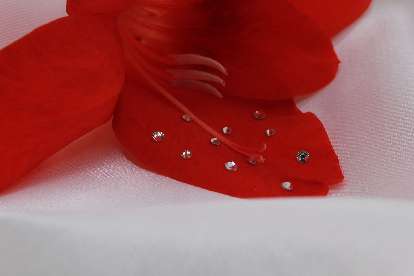 toothgemsmile™ - "Frosty" Tooth Gem Kit