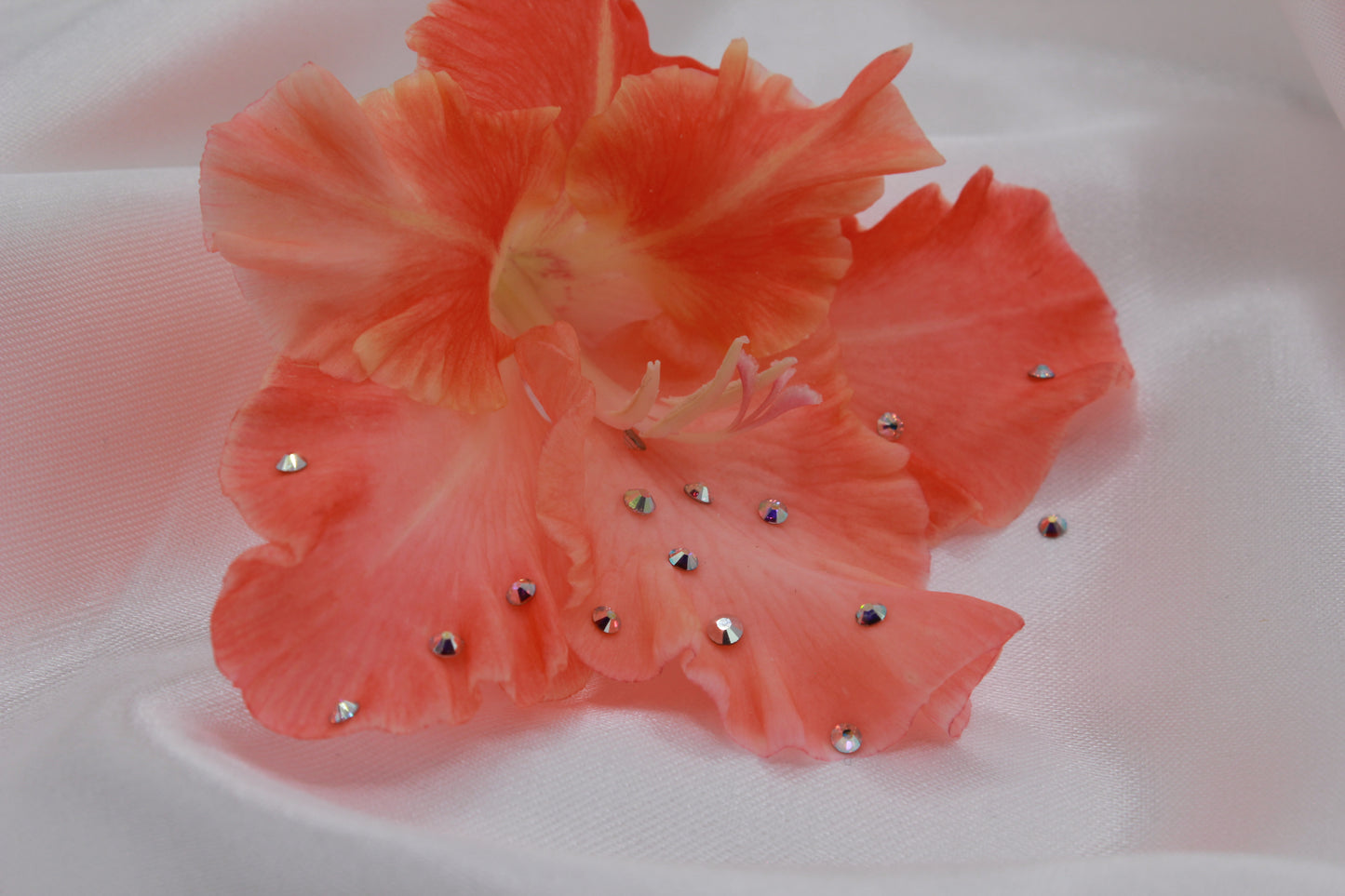 toothgemsmile™ - "Mermaid" Tooth Gem Kit