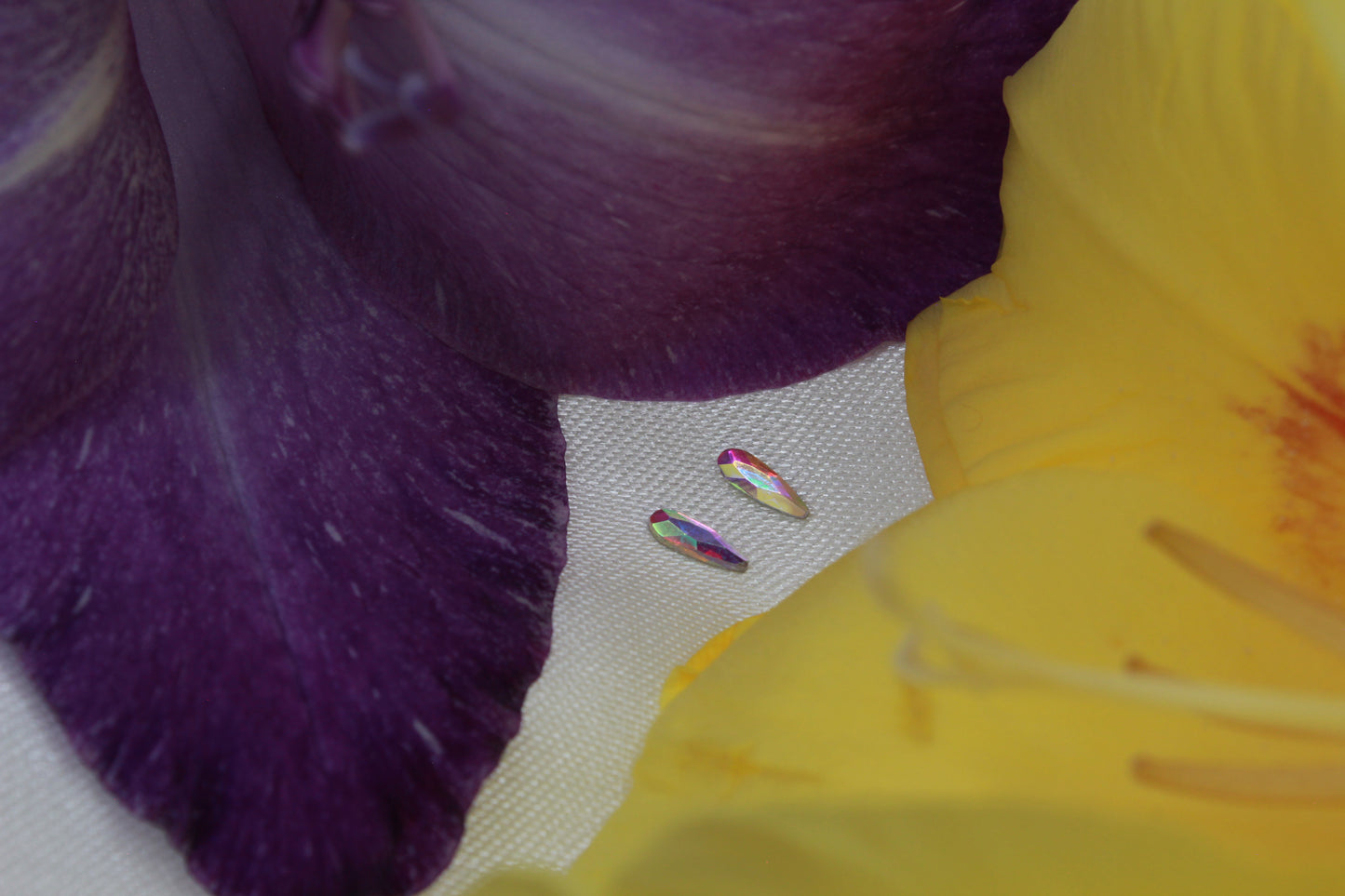 toothgemsmile™ - "Vampire" Tooth Gem Kit